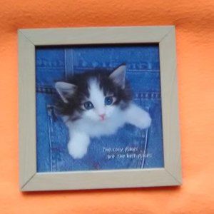 Kitten-in-a-Pocket Litho